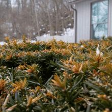 Load image into Gallery viewer, Charity Stuffed Animal Kit