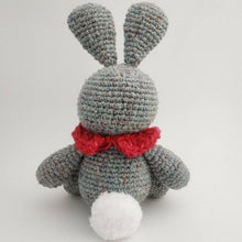 Load image into Gallery viewer, Easter Bunny Amigurumi Crochet Kit
