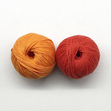 Load image into Gallery viewer, Good Clean Fun Dish Cloth Knitting Kit
